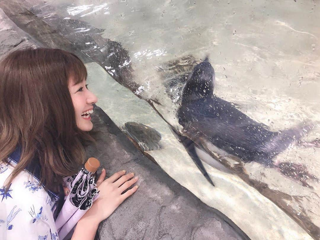 杉枝真結さんのインスタグラム写真 - (杉枝真結Instagram)「ペンギンだよん🤣💓 - 17日(土)のイベントまで 後もう少しですねーっ！✨ 私物プレゼント、何にするか決まりました👏 じゃんけん大会も楽しみだぁ。🔥(笑) - まだの方は、楽天チケットでGETしてね🎫 #penguin #aquarium #dayoff #cute #kawaii #event #happy #楽天チケット #イベント #杉枝真結 #武藤千春 #来てね」8月15日 18時32分 - mayusugieda_official