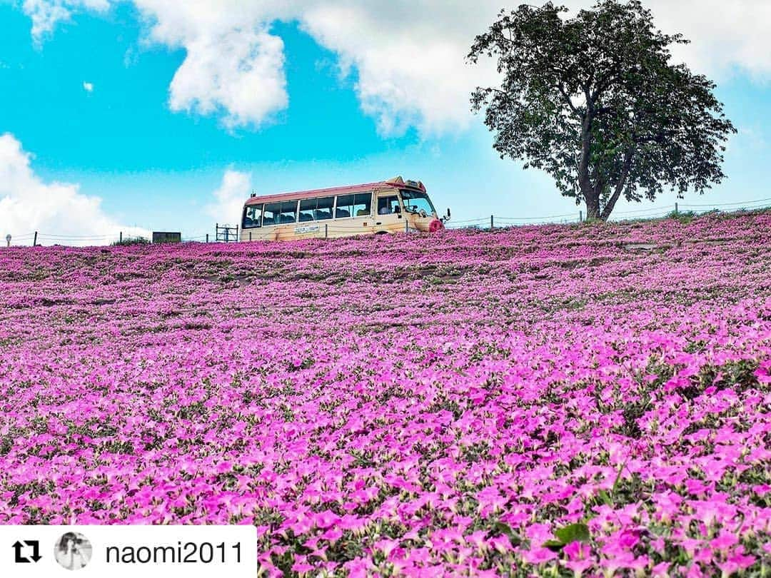 東京カメラガールズのインスタグラム