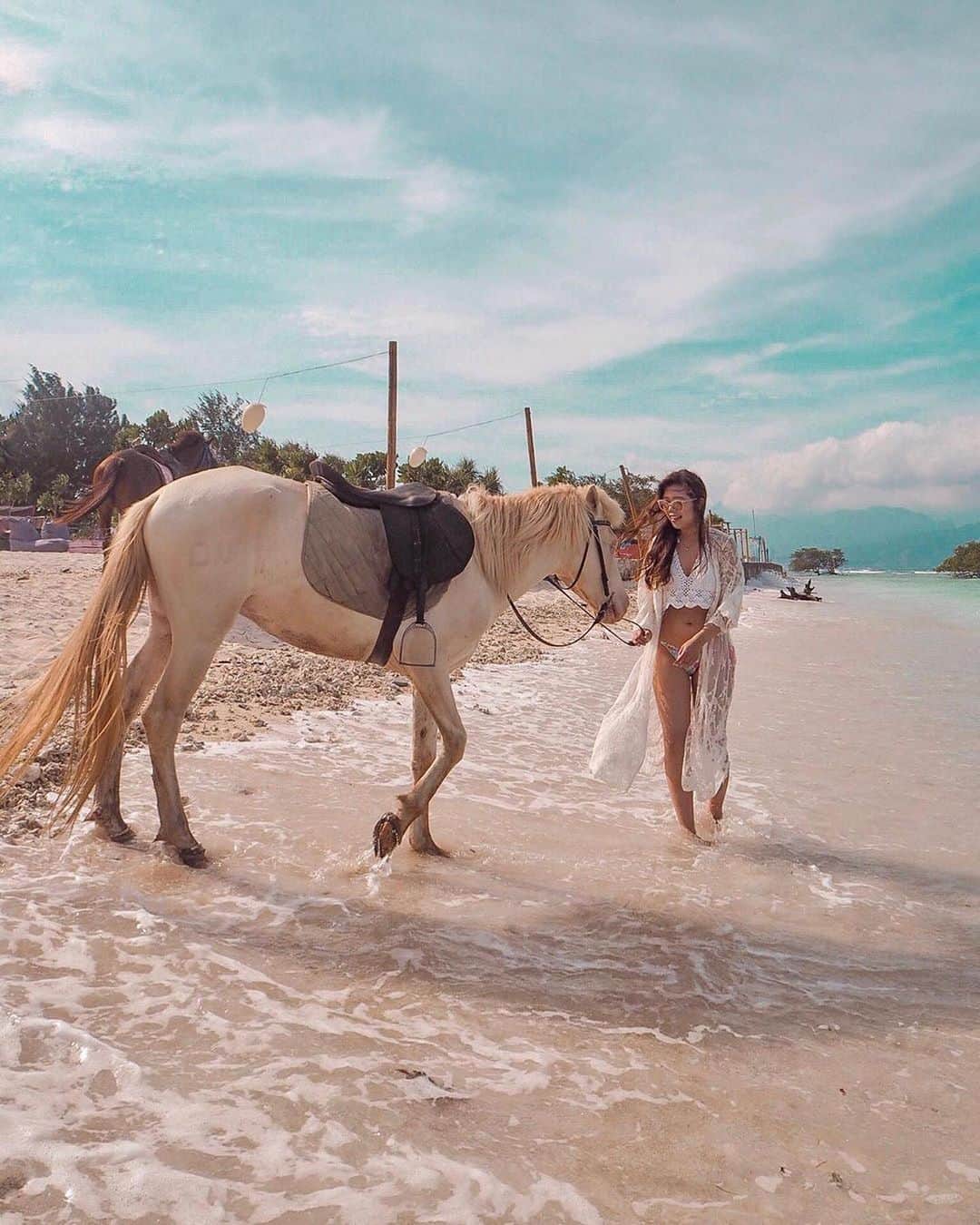 pomeloさんのインスタグラム写真 - (pomeloInstagram)「Horse. Photo by @nakamuraam  #pomelocamera #pomeloapp #photographer #horse #photography #sea #sunshine #sun #bright #light #pomelocam #seaside」8月15日 19時36分 - pomelocam