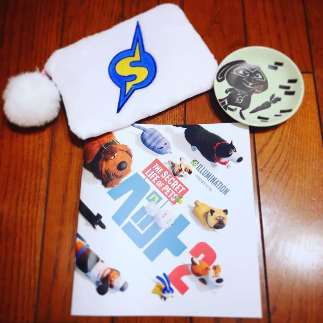 高橋花林のインスタグラム：「買っちゃった〜〜！ スノーボール可愛すぎる……。 今、USJにペット2の期間限定グッズあるんだって？！？スノーボールもいるんだって！？？？？！スノーボールキーホルダー可愛すぎる……。行きたかった……スノーボール会いたかった……。気づくの遅すぎた……。」