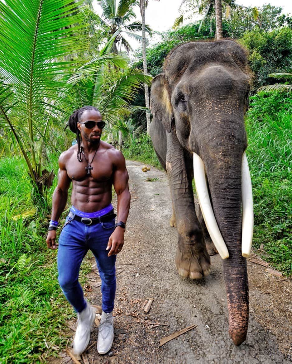 Ulissesworldさんのインスタグラム写真 - (UlissesworldInstagram)「Walking with the Beast! 🐘 #bali 🇮🇩 ❤️ @elephantsbali  _ #ulissesworld #family #holiday #vacation #bali #kai_ulisses #jaden_ulisses #sharah_ulisses #charles_mance #fitness #fit」8月15日 20時54分 - ulissesworld