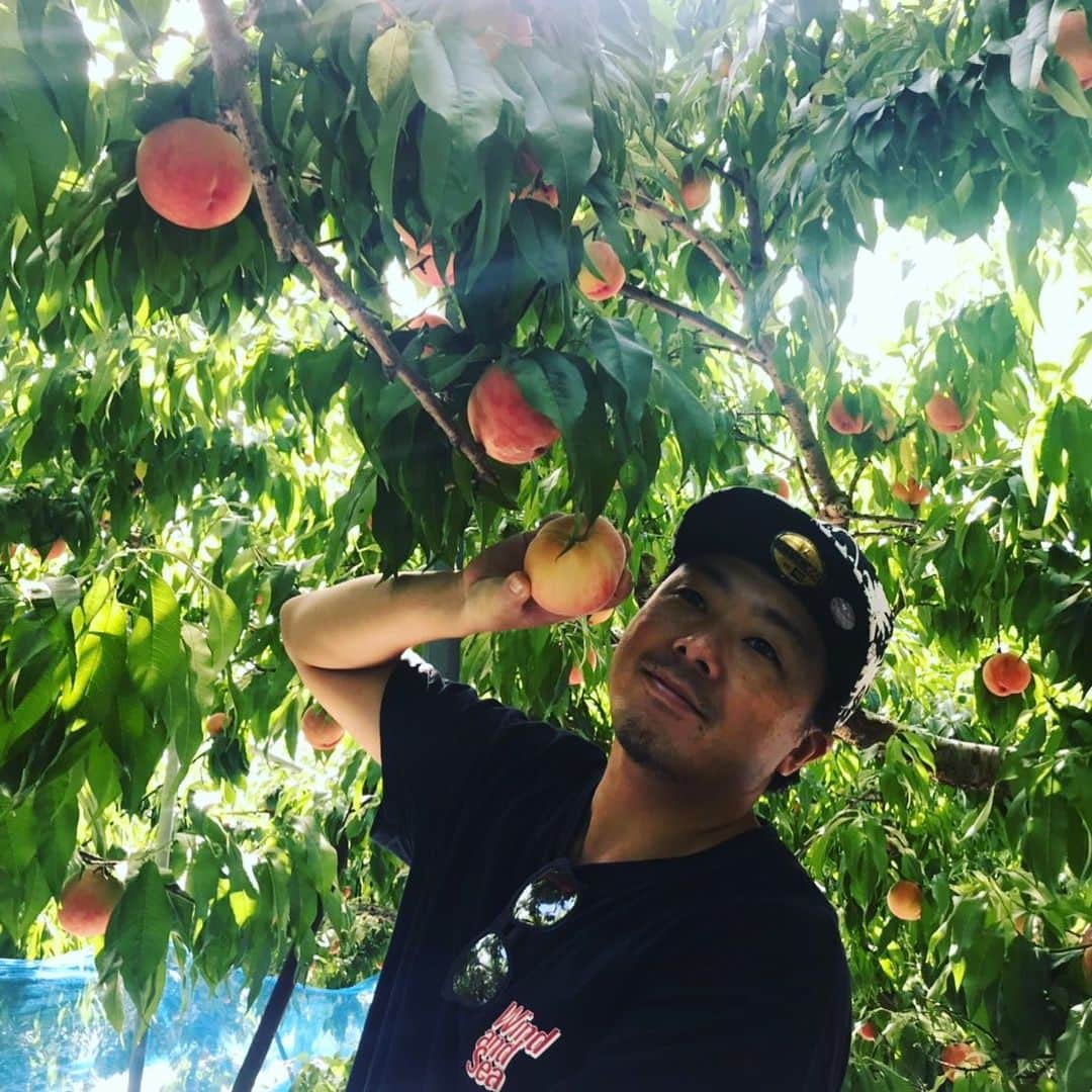田中順平のインスタグラム：「はじめての桃狩り🍑 あんまり食べすぎるとお腹膨れすぎて大変なことになるよ🤣 桃狩りより、冷えた桃のほうが好き🍑🤣 #桃狩り #3つしか食べてない #冷たいのが食べたい #暑い」