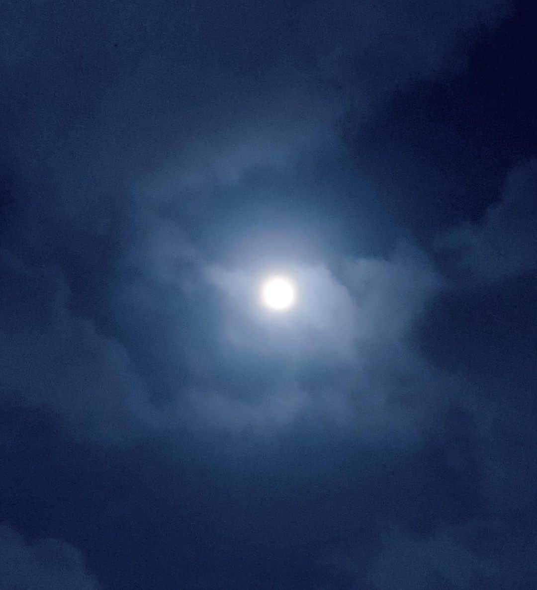 小西真奈美さんのインスタグラム写真 - (小西真奈美Instagram)「Wish for peace.  平和って、当たり前で簡単な事じゃないけど、 誰かの幸せを願う事にエネルギーを注げたら、 それが、何かの良い方向に繋がっていく気がしています😌  今夜は満月🌕  みんなの心も、 平和でありますように…✨☺️✨ 💓💓💓」8月15日 21時21分 - manami.official