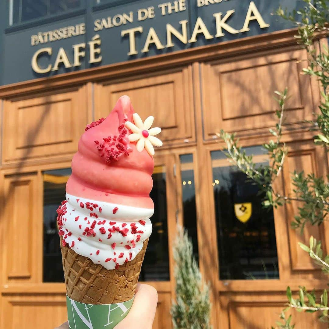 michikoさんのインスタグラム写真 - (michikoInstagram)「ソフトクリーム ＊ ＊ 暑い日はアイスが美味い🍨 ＊ ＊ ＊ #ソフトクリーム #アイス #アイスクリーム #稲沢カフェ #名古屋カフェ #名古屋グルメ #名古屋スイーツ #愛知カフェ #スイーツ巡り #カフェ #カフェ巡り #カフェ好き  #カフェスタグラム #カフェ部 #instacafe #instasweets #cafe #cafestagram #instagood」8月16日 7時03分 - miccie3030