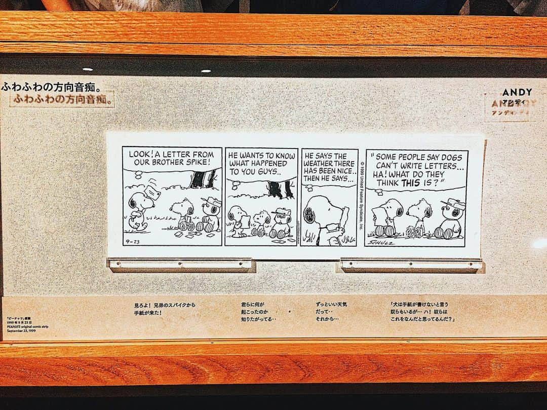 pisatamagoさんのインスタグラム写真 - (pisatamagoInstagram)「SNOOPYたち兄弟の仲の良さも好き🐶🐶🐶🧡 #スヌーピー#SNOOPY#スヌーピー展#ピーナッツ#PEANUTS」8月16日 8時09分 - audreysunnyday