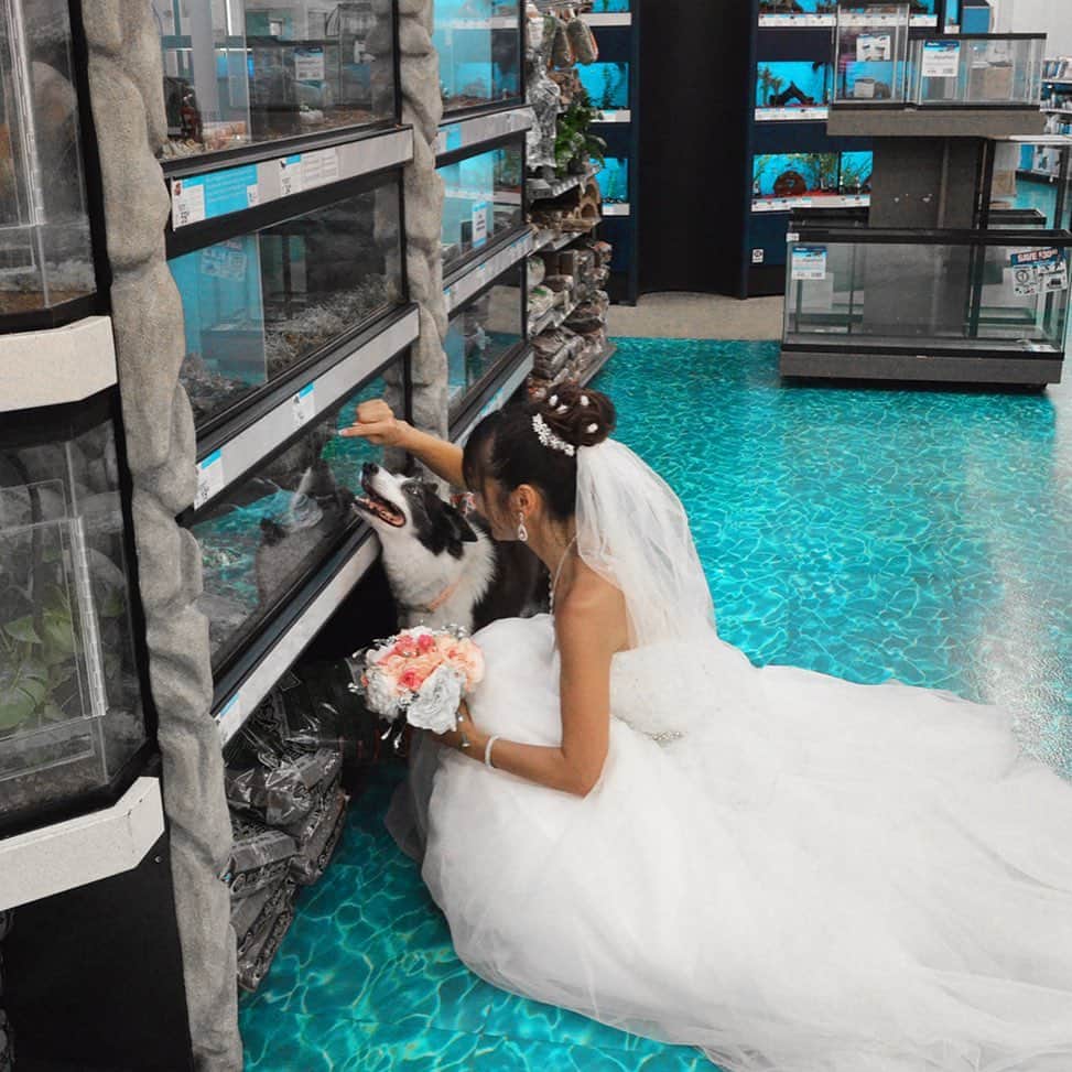 Jazzy Cooper Fostersさんのインスタグラム写真 - (Jazzy Cooper FostersInstagram)「Happy three year anniversary to my dear husband and my family.  I couldn’t have asked for a better blended family. 🐶🐼👨‍👩‍👧‍👦🐼🦊 We went to a pet store while I was wearing my wedding dress just for fun. 😆」8月15日 23時20分 - bordernerd