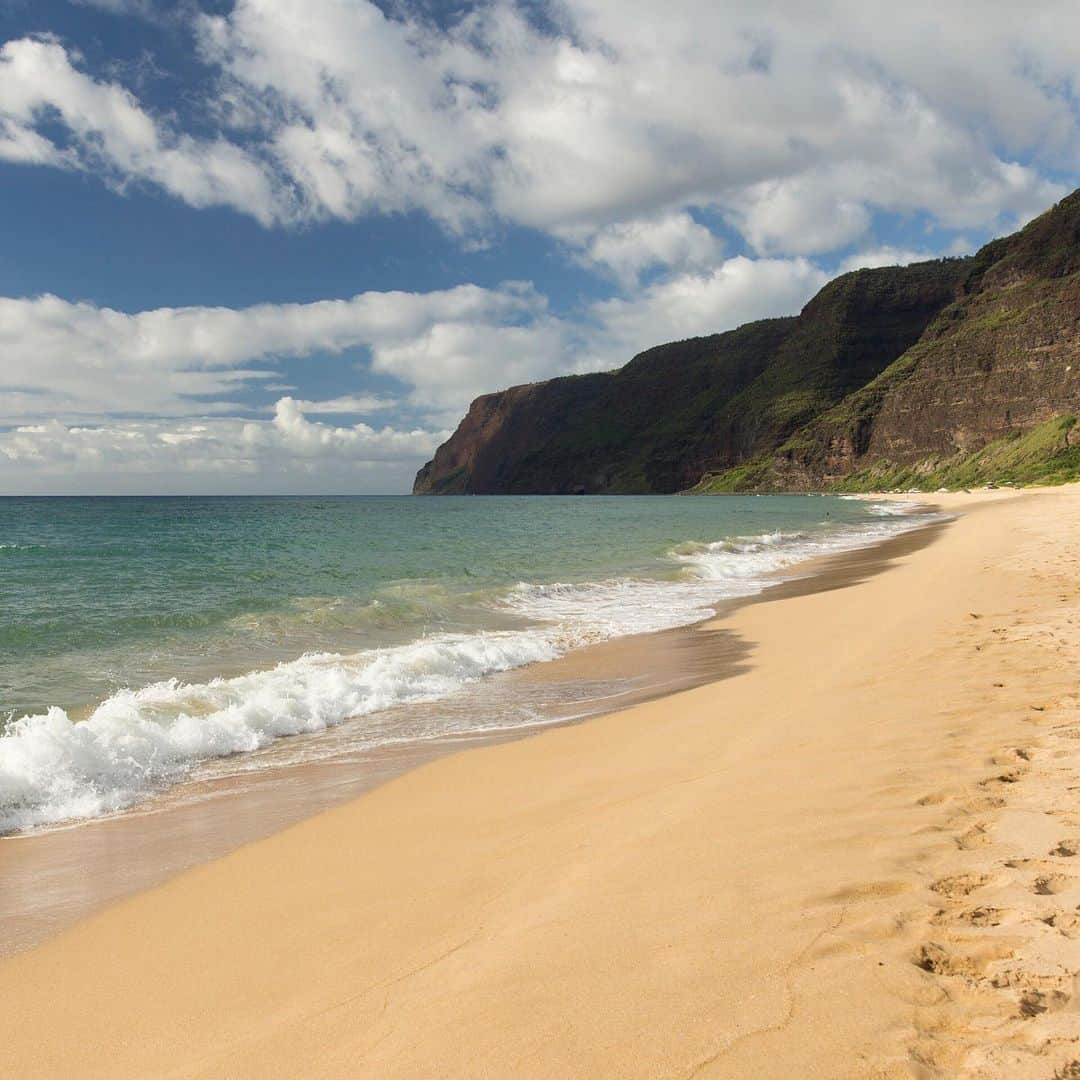 ニューヨーク・タイムズさんのインスタグラム写真 - (ニューヨーク・タイムズInstagram)「Trips to the beach are one of the enduring delights of summer. The blankets and umbrellas, the briny air, the rhythmic waves. From the shores of Rhode Island to California, to the Lake of the Ozarks, to Hawaii and the Florida Panhandle, this summer we took a look at some of the best beaches in America — and for those of you who prefer pools, we’ve got you covered, too. Visit the link in our bio to read up on which #beaches and #pools you should keep on your radar for this last stretch of summer. @annabellerosephoto, @rdiazphoto, @marcogarciaphotography, @annapetrow, and @allegraanderson took these photos.」8月15日 23時23分 - nytimes