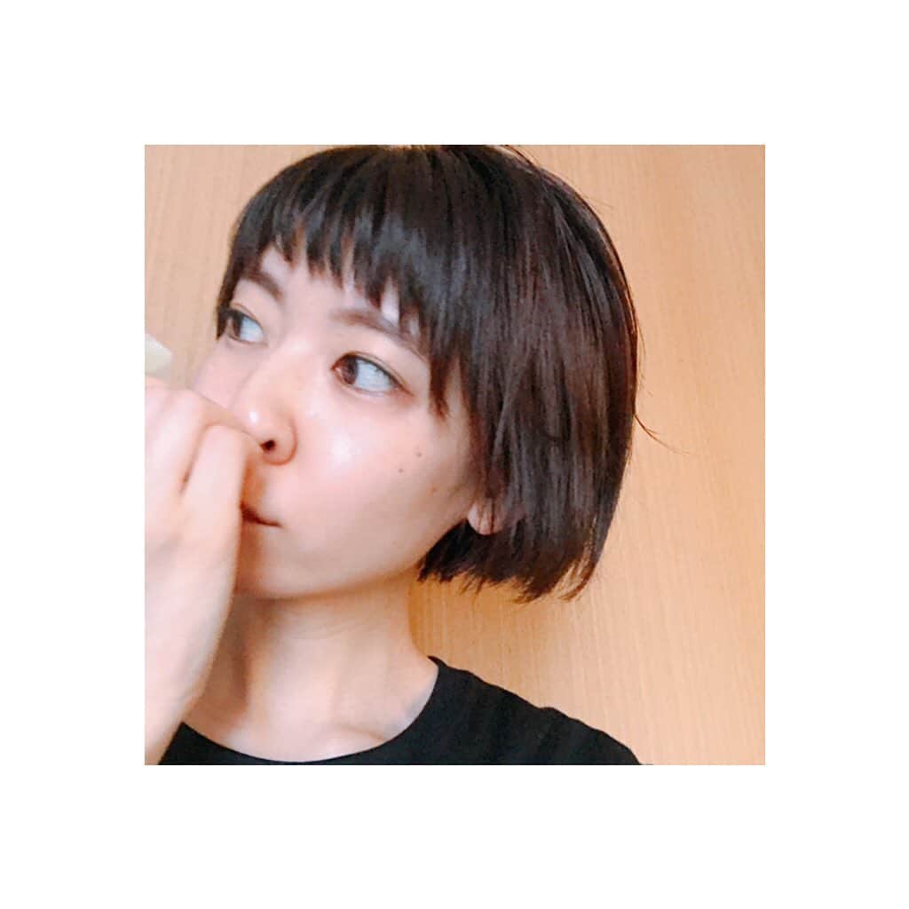 のインスタグラム：「✂︎ツアー開始まであと少し✂︎﻿ 準備はできてる。﻿ ﻿ 歌いっぱなしですし。🍣﻿ ﻿ 東京の夏は全然好きじゃなかったけど、﻿ 今はいろんな人や出来事のおかげで、﻿ 割と好きです。﻿ ﻿ (セミとは距離を置いている)﻿ ﻿ ﻿ 髪をこのくらいにしたよ。﻿ 似合います。﻿ だってうっちーさんが切ってくれたから。﻿ チャーさんだって褒めてくれました。﻿ 散歩の時にドカッと抱きついてくれましたから﻿。 (たぶんそういうことだと思う)」