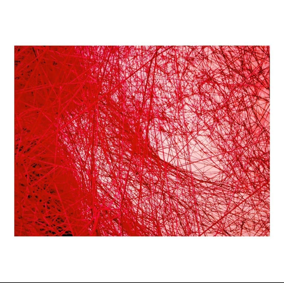 阿井莉沙さんのインスタグラム写真 - (阿井莉沙Instagram)「塩田千春展「魂がふるえる」﻿ ﻿ “糸はもつれ、絡まり切れ、解ける。﻿ それは、まるで人間関係を表すように、私の心をいつも映し出す。” ----塩田千春﻿ ﻿ 目に見えない想いが糸によって表現される世界。  繊細な糸が絡み合い作り出された作品から様々な想いを感じました🌝 ﻿ #塩田千春展 #塩田千春 #塩田千春展魂がふるえる #糸#個展 #たくさんUPしたい写真があるのに #なかなか投稿できておらず #頑張って投稿しようと思います😂」8月15日 23時35分 - ai_risa910