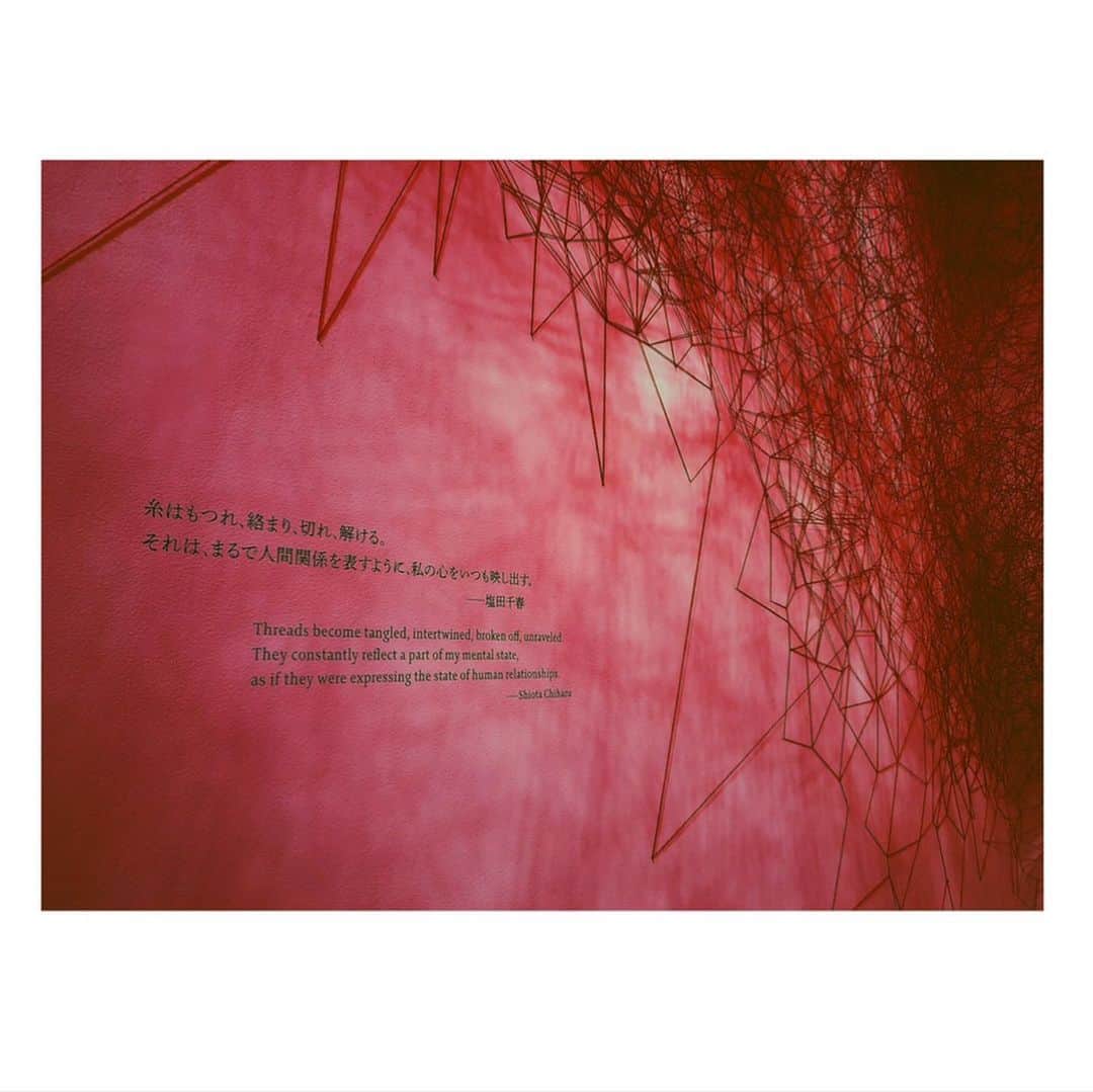 阿井莉沙さんのインスタグラム写真 - (阿井莉沙Instagram)「塩田千春展「魂がふるえる」﻿ ﻿ “糸はもつれ、絡まり切れ、解ける。﻿ それは、まるで人間関係を表すように、私の心をいつも映し出す。” ----塩田千春﻿ ﻿ 目に見えない想いが糸によって表現される世界。  繊細な糸が絡み合い作り出された作品から様々な想いを感じました🌝 ﻿ #塩田千春展 #塩田千春 #塩田千春展魂がふるえる #糸#個展 #たくさんUPしたい写真があるのに #なかなか投稿できておらず #頑張って投稿しようと思います😂」8月15日 23時35分 - ai_risa910