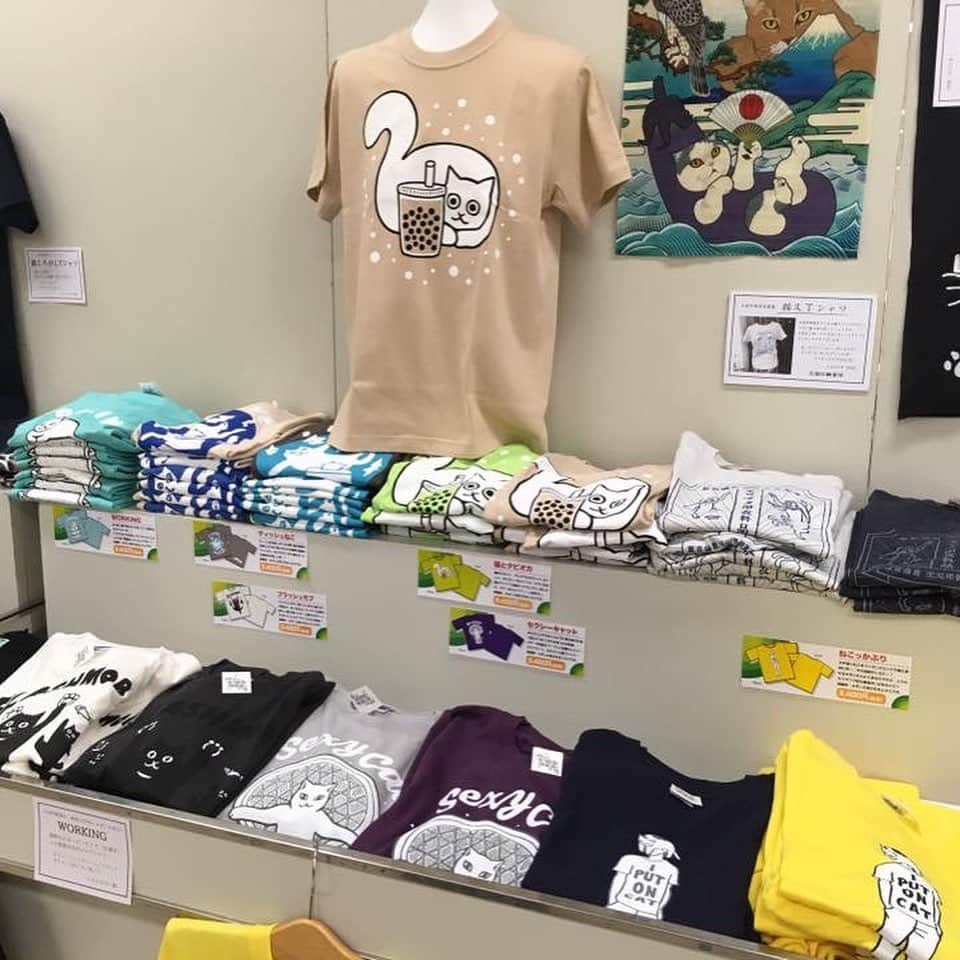 みずしな孝之のインスタグラム：「新宿の京王百貨店 7階大催場で開催中のイベント 「みんなイヌみんなネコ」にて、 みずしなデザインのねこTシャツを 大量に販売しております！ 19日までやってますので どうぞこの機会によろしくです！  みんなイヌみんなネコ公式サイト https://www.keionet.com/info/shinjuku/event/inuneko2019.html」