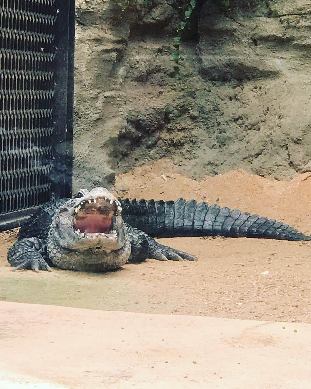 蓮沼千紘のインスタグラム