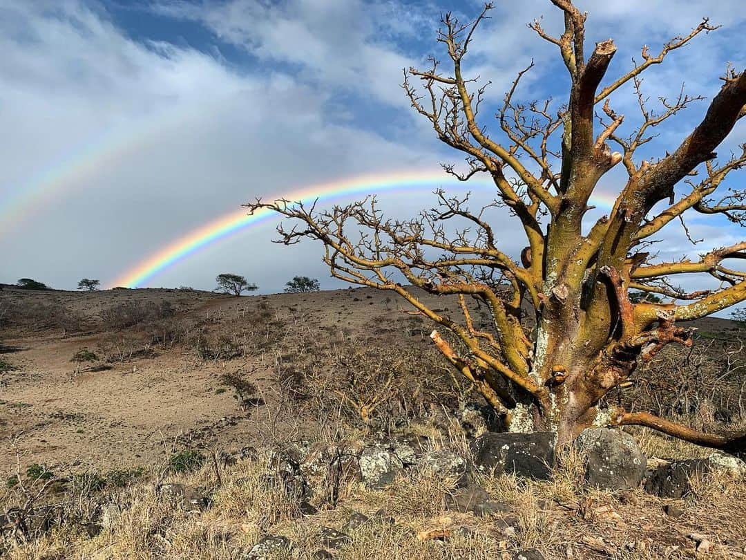 ジョシュ・ギャッドさんのインスタグラム写真 - (ジョシュ・ギャッドInstagram)「Hawaii ladies and gentlemen. Even its most barren landscapes offer you something as insane as a double rainbow. I mean come on. #heaven #roadtohana」8月16日 1時59分 - joshgad