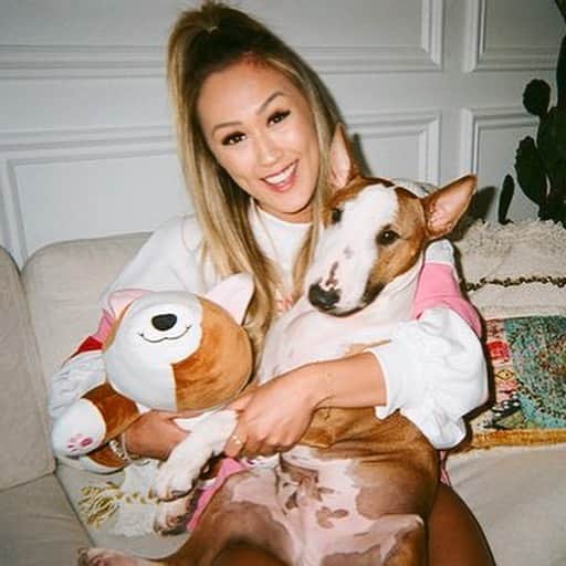Lauren Riihimakiさんのインスタグラム写真 - (Lauren RiihimakiInstagram)「puppy lovin’ on @diydisposables film 📷✨ PS y’all sold out the moosie plushies in 48 hours and I’m SHOOooOoOoOk 😭❤️ we’ll be restocking for the holidays tho so get ready for more moosies needing homes 🥰」8月16日 4時05分 - laurdiy