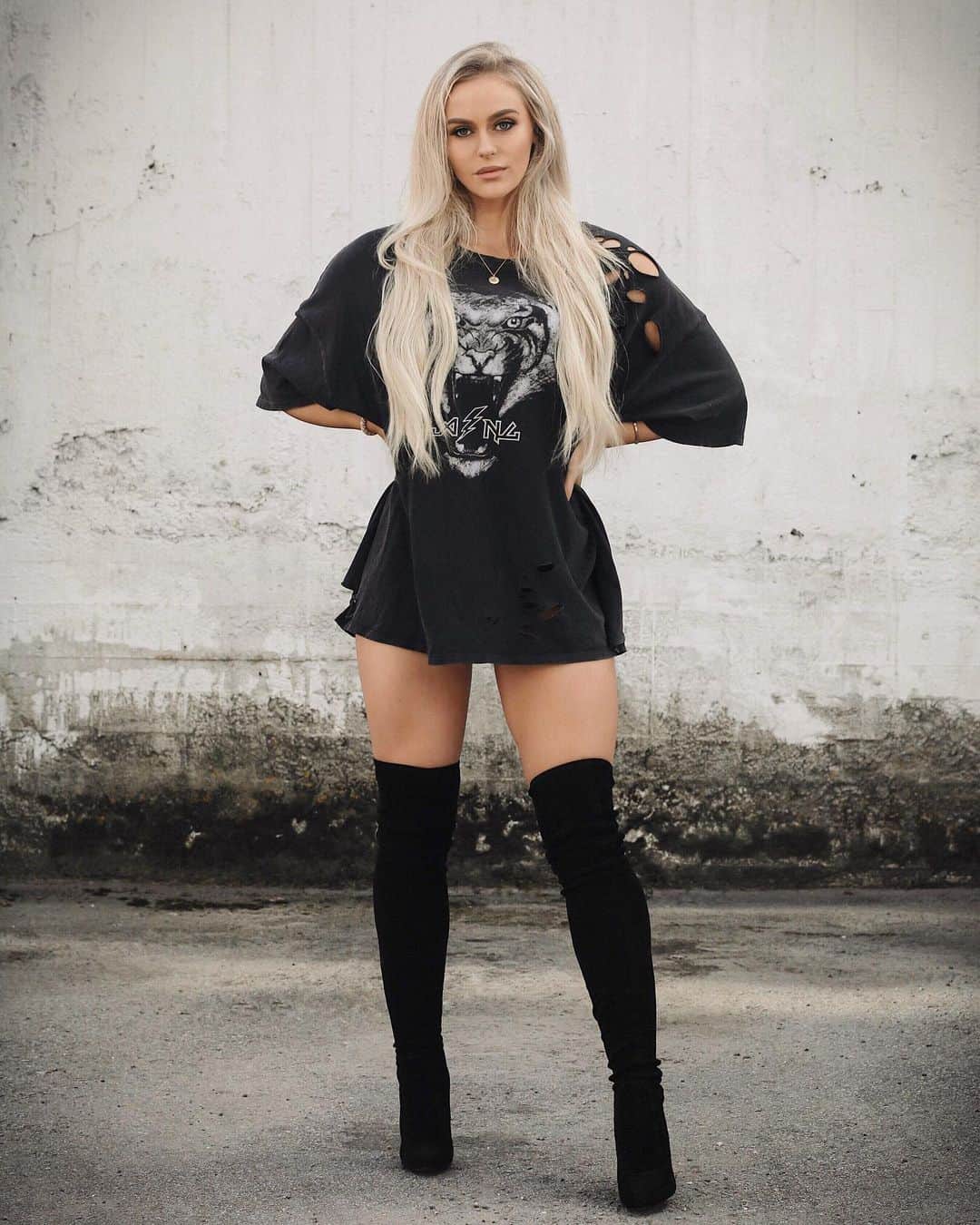 Anna Nyströmのインスタグラム：「🐅」