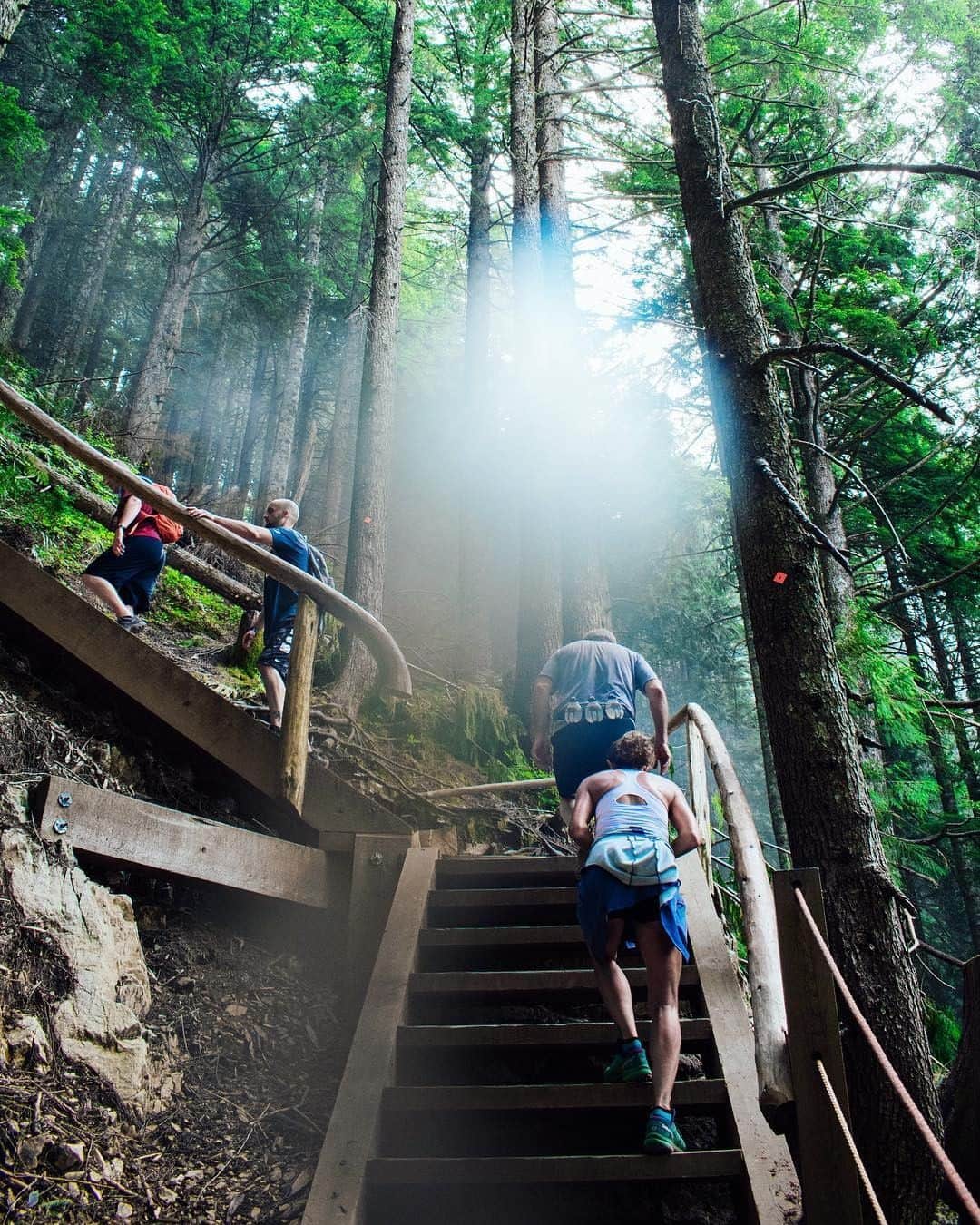 バンクーバー観光局- Tourism Vancouverさんのインスタグラム写真 - (バンクーバー観光局- Tourism VancouverInstagram)「急こう配が続くその過酷さにハマる人が続出しているグラウス山で人気のハイキングルート「グラウスグラインド」。夏の間のみ利用できるので、ハイキング好きの方は挑戦してみるのもいいかもしれません。⁠ 📷 : @theplaidshirt(Instagram)⁠ .⁠ .⁠ .⁠ #カナダ #バンクーバー #Vancouver #旅 #旅行 #女子旅 #旅好き #一人旅 #海外旅行 #トラベル #旅女子 #旅行好きな人と繋がりたい #旅好きな人と繋がりたい #旅行好き #旅行大好き #旅行行きたい #旅に出たい #海外 #旅の記録 #旅の思い出 #旅行記 #旅したくなるフォト #マイトリップ #マイトリ #retrip_global #風景 #グラウスグラインド #グラウスマウンテン #トレイル #ハイキング⁠」8月16日 6時00分 - vancouvertabi