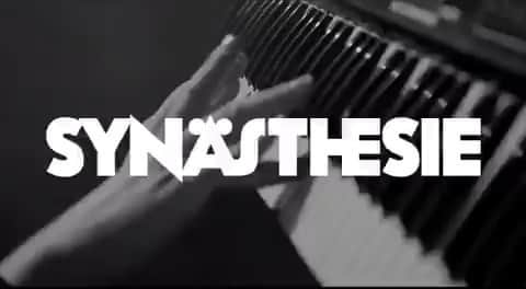 A Place to Bury Strangersのインスタグラム：「Check out the @synaesthesiefestival 2019 trailer, featuring their newly announced lineup. See you in Berlin in November. Get your tickets now at www.synfest.com #synästhesie #berlin #festival #deerhunter #stereolab #theblacklips #aptbs #aplacetoburystrangers #flaminggods #priestsband」
