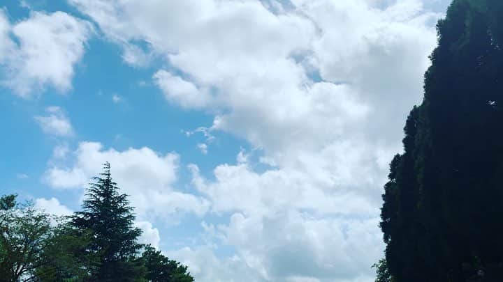 柴田フミコのインスタグラム：「風が強かった  #風 #空 #夏」