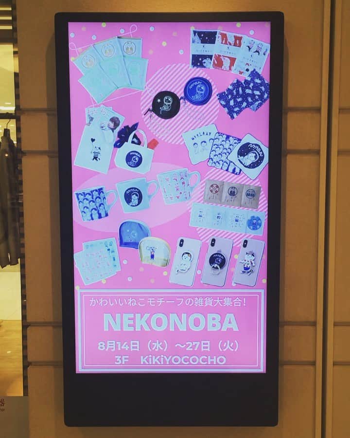 ねこのグルメインスタ