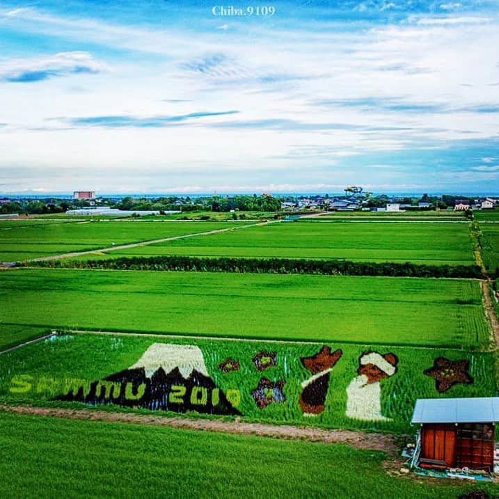 あなたのLOVE CHIBA教えてキャンペーンのグルメインスタ