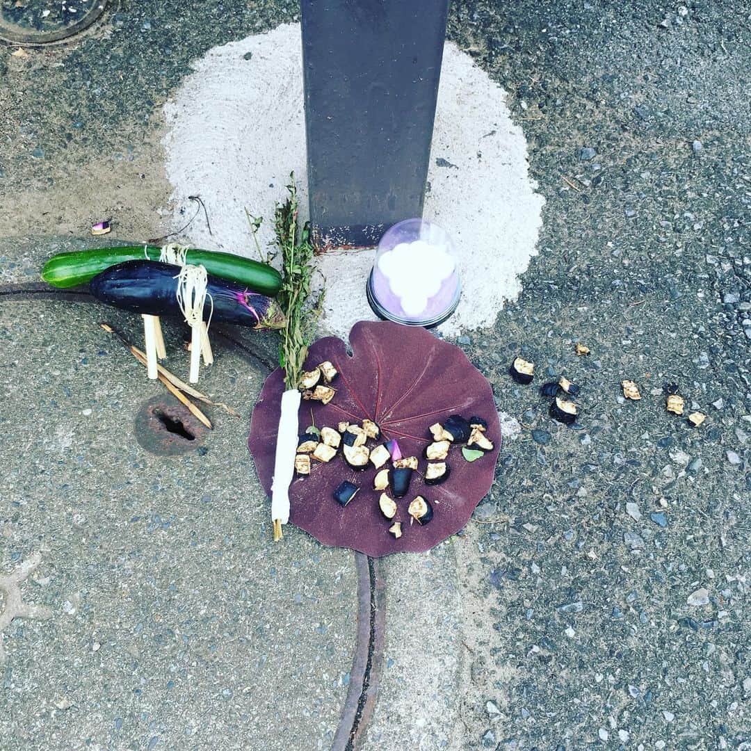 のインスタグラム：「精霊馬2019  #obon #seireiba #spiritualhorse」
