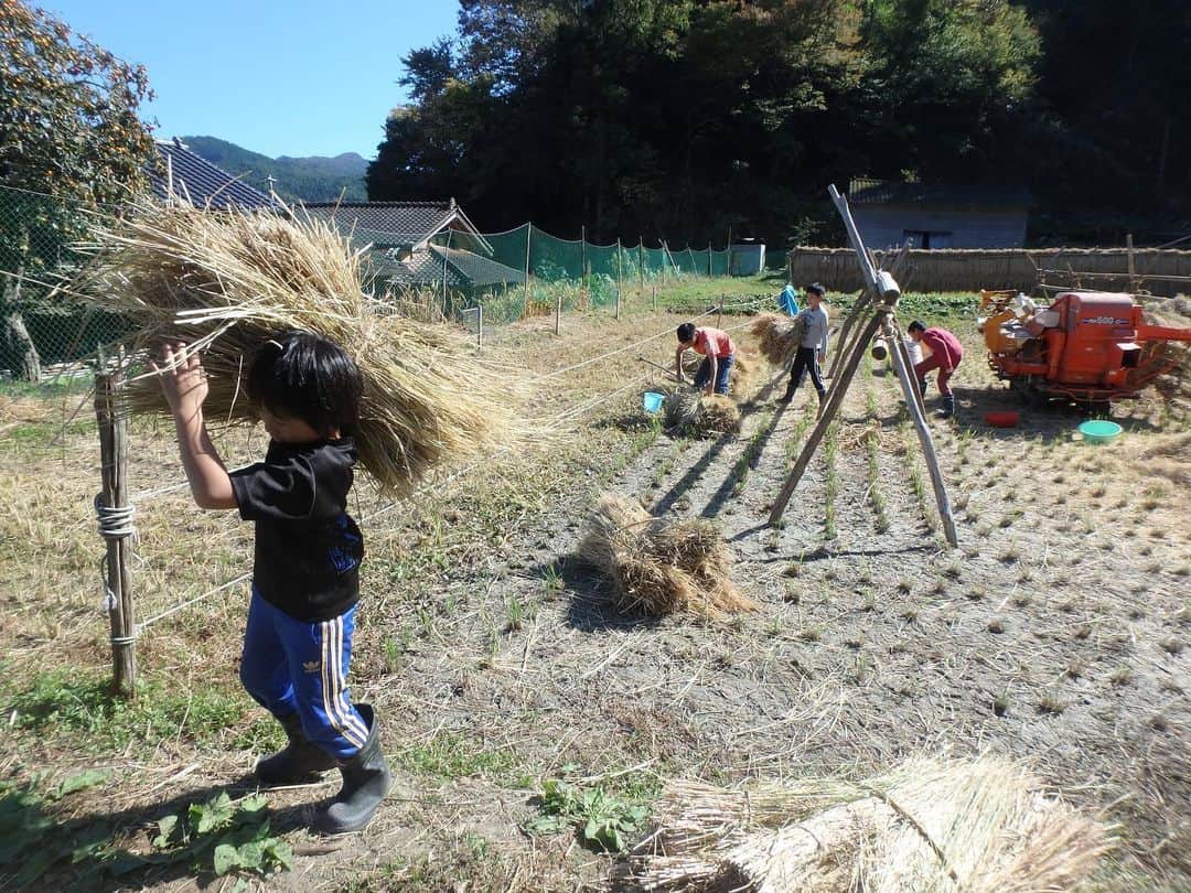 Satoyama推進コンソーシアムさんのインスタグラム写真 - (Satoyama推進コンソーシアムInstagram)「地域に開放しているつむぎの家の里山で遊ぶ子どもたち。⁠⠀ 遊びながらも自然に親しみ、実りの秋の脱穀のお手伝いをしています。⁠⠀ ※Satoyamaフォトコンテスト2019代理投稿作品⠀⁠⠀ ⠀⁠⠀ #jtsatoyama2019⁠⠀ #フォトコンテスト⁠⠀ #フォトコン⠀⁠⠀ #写真⠀⁠⠀ #カメラ⠀⁠⠀ #里山⠀⁠⠀ #里海⠀⁠⠀ #風景⠀⁠⠀ #風景写真⠀⁠⠀ #日本の絶景⠀⁠⠀ #日本の美しい風景⠀⁠⠀ #田舎⠀⁠⠀ #田舎暮らし⠀⁠⠀ #photo⠀⁠⠀ #satoyama⠀⁠⠀ #satoumi⠀⁠⠀ #japan⠀⁠⠀ #landscape⠀⁠⠀ #japan_visit⠀⁠⠀ #Lovers_Nippon⠀⁠⠀ #daily_photo_jpn⠀⁠⠀ #naturephotography」8月16日 17時22分 - jt.satoyama_consortium