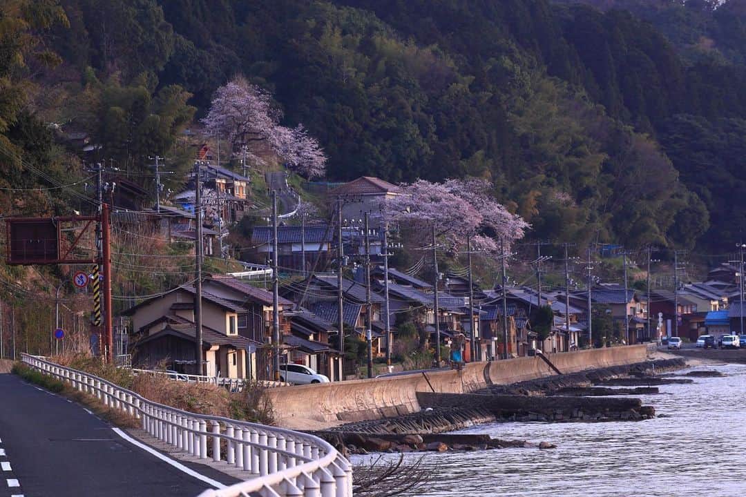 Satoyama推進コンソーシアムさんのインスタグラム写真 - (Satoyama推進コンソーシアムInstagram)「京都府宮津市の北端に位置する長江という小さな漁村です。国道を挟んで海と山に分かれ、春には山手に桜が咲き春の訪れを皆に知らせてくれます。⁠⠀ ※Satoyamaフォトコンテスト2019代理投稿作品⠀⁠⠀ ⠀⁠⠀ #jtsatoyama2019⁠⠀ #フォトコンテスト⁠⠀ #フォトコン⠀⁠⠀ #写真⠀⁠⠀ #カメラ⠀⁠⠀ #里山⠀⁠⠀ #里海⠀⁠⠀ #風景⠀⁠⠀ #風景写真⠀⁠⠀ #日本の絶景⠀⁠⠀ #日本の美しい風景⠀⁠⠀ #田舎⠀⁠⠀ #田舎暮らし⠀⁠⠀ #photo⠀⁠⠀ #satoyama⠀⁠⠀ #satoumi⠀⁠⠀ #japan⠀⁠⠀ #landscape⠀⁠⠀ #japan_visit⠀⁠⠀ #Lovers_Nippon⠀⁠⠀ #daily_photo_jpn⠀⁠⠀ #naturephotography」8月16日 17時23分 - jt.satoyama_consortium