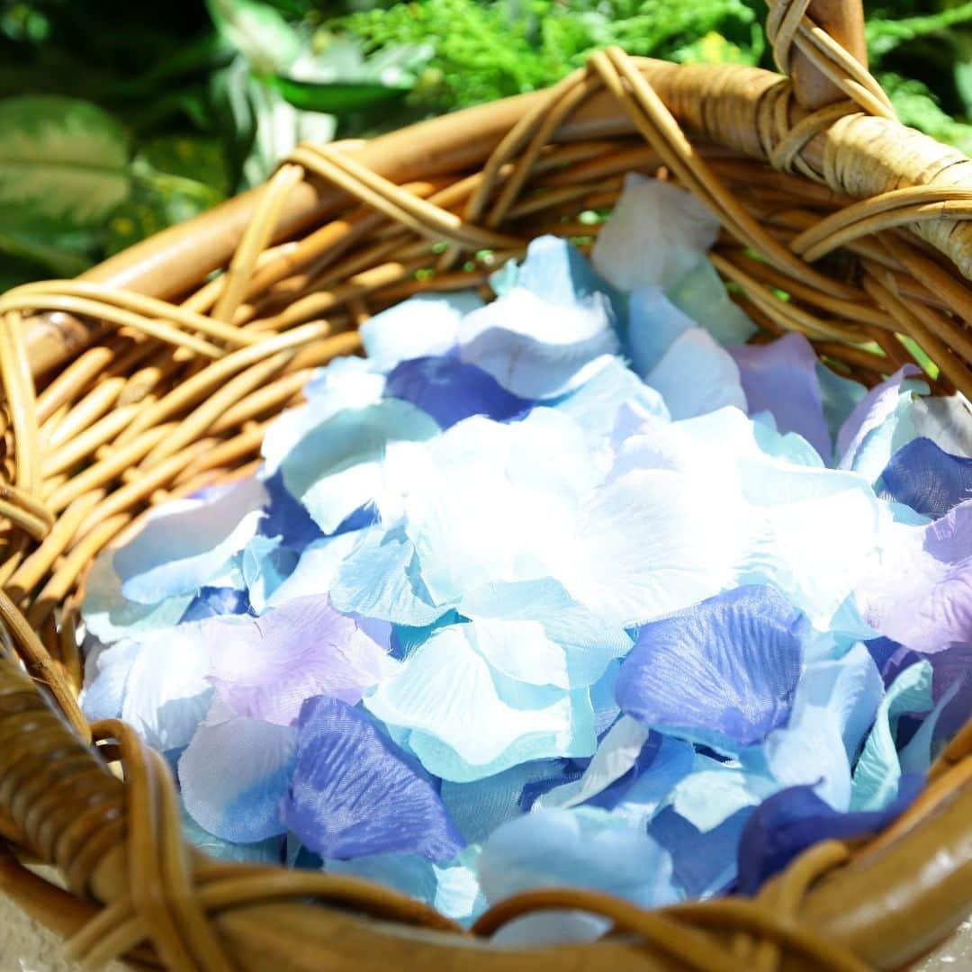 ルミアモーレのグルメインスタ