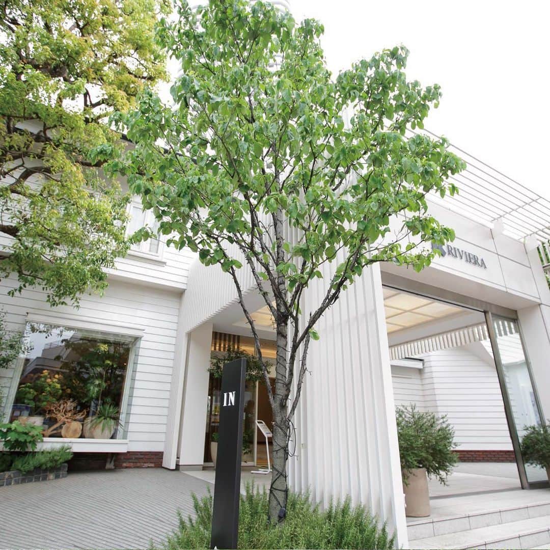 RIVIERA WEDDING　リビエラ ウェディング　公式のグルメインスタ