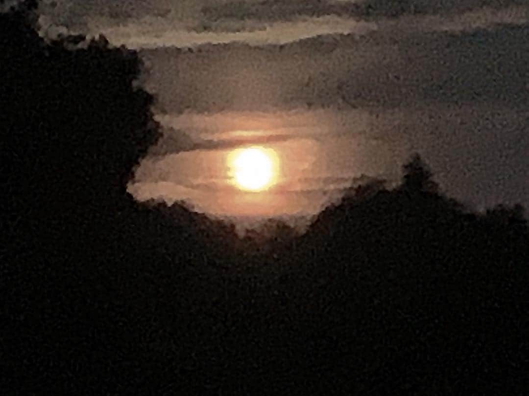 ロン・ハワードさんのインスタグラム写真 - (ロン・ハワードInstagram)「crazy moon tonight here on the east coast. Lunacy?」8月16日 9時48分 - realronhoward