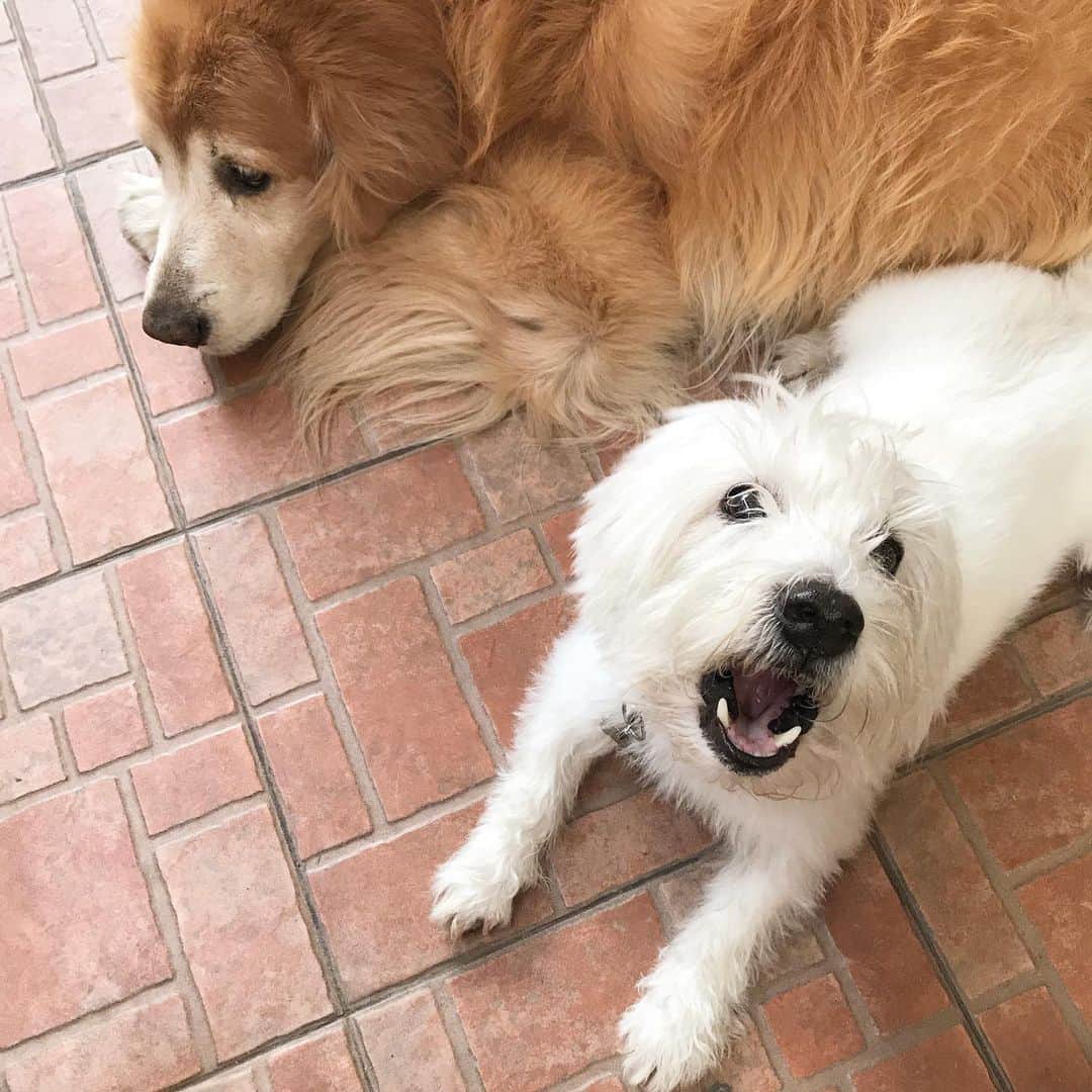 Hoykong&Plamuekのインスタグラム：「Hello Friday! #hkpm」