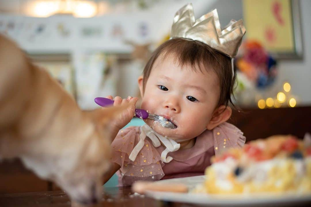 巴田みず希さんのインスタグラム写真 - (巴田みず希Instagram)「一歳お誕生日会🎂 ・ パパシェフが、お家でケーキを焼いてくれたよ♡ ・ 初ケーキが美味しかったようで、ガツガツ食べてた😂 ・ 小晴くんもフルーツをパクパク食べました🐕✨ ・ 写真館で真顔しか撮れなかったからママ、必死で笑わせたよ！笑 ・ 向日葵ガーランドは、ミンネで購入。（麻のガーランドも一緒に） @azukichan.shop @minne_official ・ ギリギリになって、やっぱり欲しい！と思って購入を決めたんだけど、迅速な対応していただいてほんとに助かりました〜🙇‍♀️ ・ 一歳の手形と足形もスタンプして👣 ・ 金の数字はフライングタイガーで100円だったよ〜 @flyingtigerjp ・ 月齢カードはママの手作り♡ ・ 素敵なレディになってね♡姫♡ ・ ・ ・ #1歳 #12months #12ヶ月baby #女の子ママ #新米ママと繋がりたい #赤ちゃんのいる生活 #あかちゃんのいる暮らし #可愛い #cute #baby #女の子ベビー #youtuber #毎日バタバタだけど幸せな日々 #30代初ママ #育児  #赤ちゃんとチワワ #月齢フォト #2018_summer_baby部 #photooftheday #babywearing #ベビーファッション #お誕生日会 #1歳誕生日 #バースデー購入品 #minne #フルーツケーキ #marlmarlエプロン #gapbaby」8月16日 10時12分 - mizukitomoda