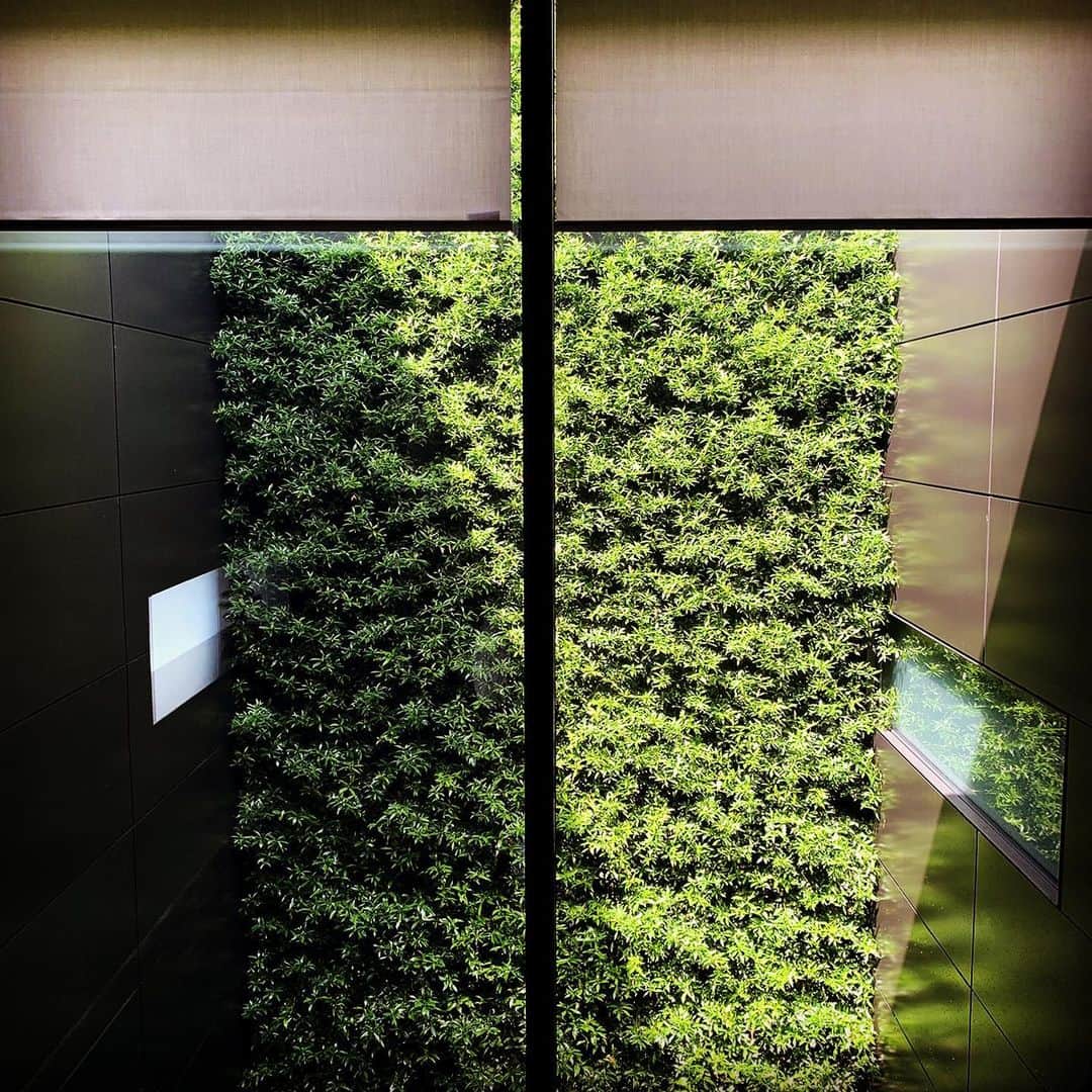 祐真朋樹のグルメインスタ