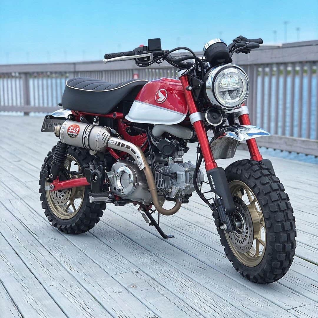 Honda Powersports USさんのインスタグラム写真 - (Honda Powersports USInstagram)「If you have a #HondaMonkey let us know!  We want to see! 🐒🙋‍♂️ #MiniMOTO 📸: @john5xr」8月16日 10時32分 - honda_powersports_us