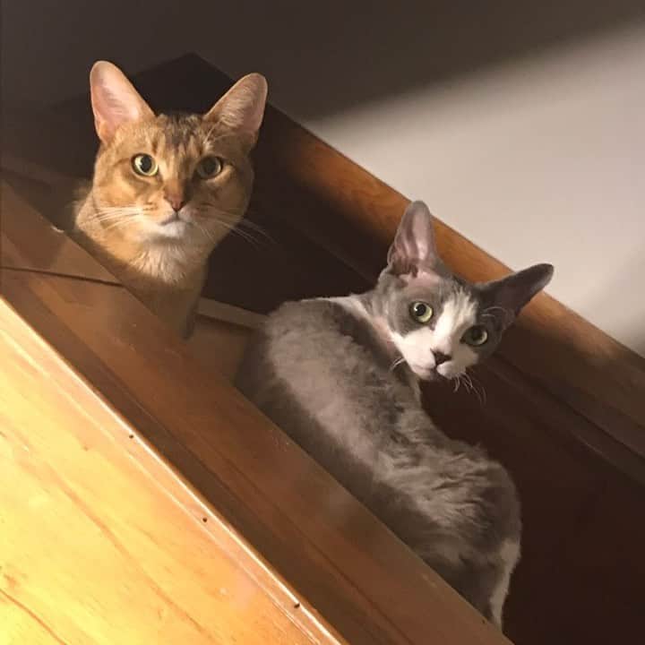 ジュヨンのインスタグラム：「😻😽」