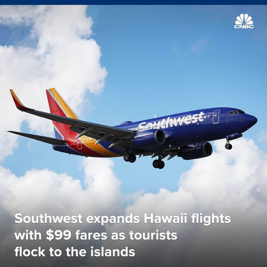 CNBCさんのインスタグラム写真 - (CNBCInstagram)「Aloha, cheap tickets! 🌺⁠ ⁠ If you're planning a vacation, know that you can get plane tickets to Hawaii at a discount. Southwest Airlines just announced a one-day sale of $99 one-way flights to the islands.⁠ ⁠ The airline’s move to expand further into Hawaii comes as the state becomes a hotspot for tourists. 🔥⁠ ⁠ Hawaii took in more than 5.1 million visitors by air in the first half of this year — a 4% increase from the same time period in 2018.⁠ ⁠ For more details on the flights, visit the link in bio. ⁠」8月16日 11時00分 - cnbc