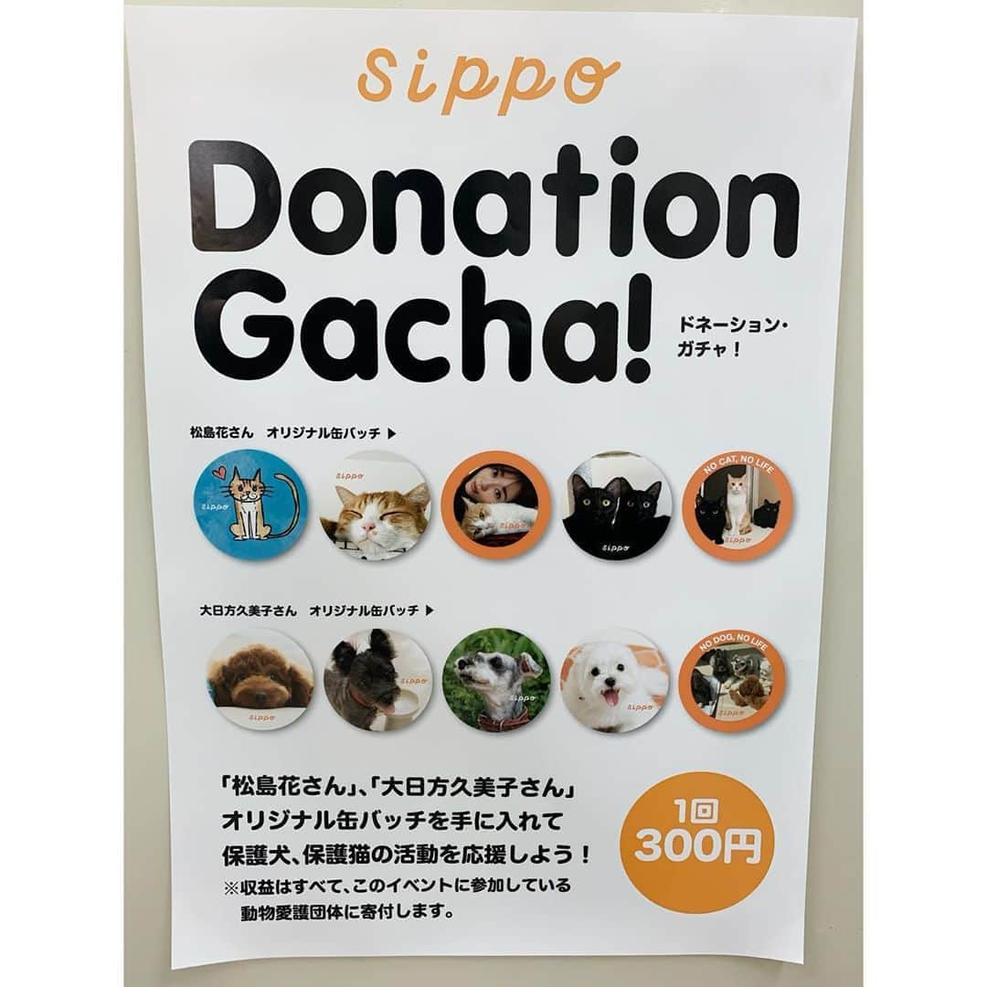 松島花さんのインスタグラム写真 - (松島花Instagram)「: 「みんなイヌみんなネコ」の会場 (京王百貨店 新宿店7階)では、  sippoのコンセプトでもある、保護犬、保護猫を 飼っている方々の愛犬、愛猫の写真展示、犬と猫の譲渡会、 犬猫のチャリティーグッズの販売、日替わりのトークショーなど 盛り沢山の内容となっています🐈❤️🐕 : 中でも、うちの〝ごろりん・ゴメズ&フェスター〟の 写真や私が描いたごろりんイラストの缶バッジと 大日方久美子さんの愛犬の写真の缶バッジが出てくる ガチャがあります😆🎵 缶バッジ2個が入ったガチャガチャは300円です🐾 収益金はすべて動物愛護活動に寄付されます❣️ : 撮影は @kumi511976 さんです🥰 #花アニマル #ごろりん  #ゴメズ #フェスター  #命の期限 #殺処分ゼロ  #指1本でできるボランティア #殺処分が無くなる世の中になりますように #ペットショップへ行く前に里親になる選択を #保護犬 #保護猫 #犬 #猫 #保護犬保護猫の里親になる選択 #朝日デジタル #sippo #みんなイヌみんなネコ #京王百貨店 #おーあみ避難所  #大日方久美子 さん」8月16日 11時50分 - hana_matsushima_official