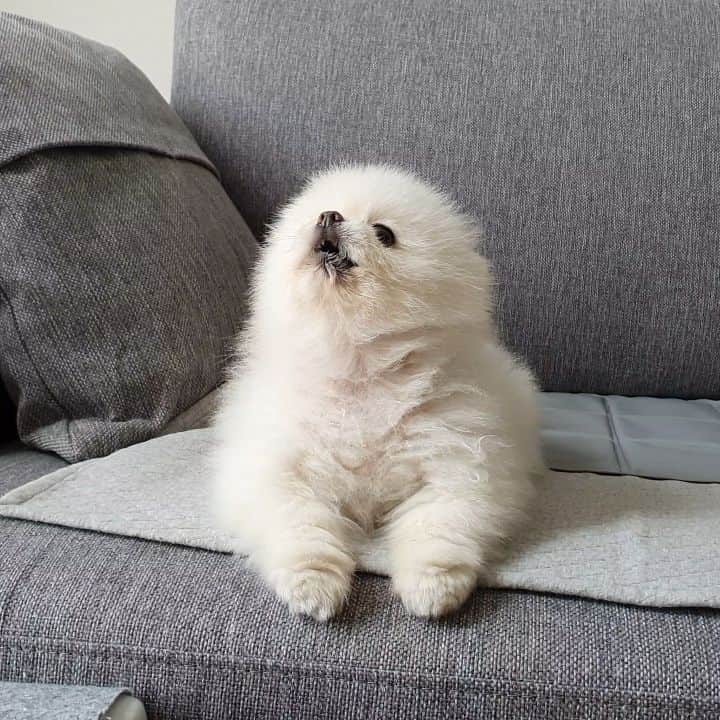 thesoy_yoonsoのインスタグラム