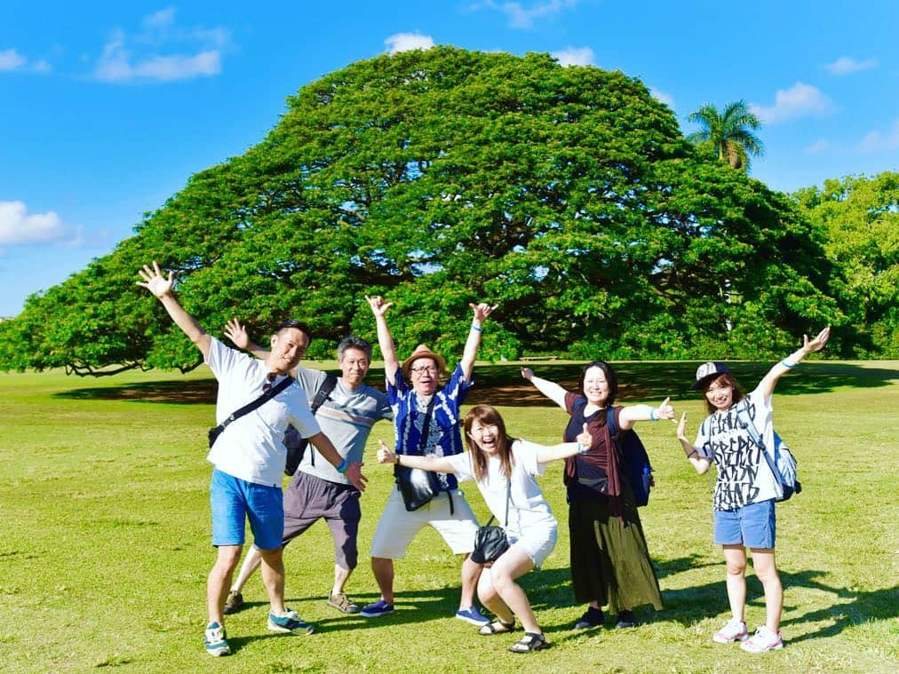 kawaiihawaiitourさんのインスタグラム写真 - (kawaiihawaiitourInstagram)「カワイイ・ハワイ・ツアーのどこでもツアーでは、この木なんの木も大人気です‼️😄🤙 この日は、魚眼レンズで撮影‼︎ いつもと違った写真も撮れます。当社では、お客様が行きたいところを自由に選んでもらって好きなようにツアーが回れます‼️ -------------------------------------------- ❤️Kawaii Hawai'i Tour / カワイイ・ハワイ・ツアー ❤️✨🌈プラン🌈✨ (ハワイ州政府公認会社 PUC 497-C) ✔︎日本人経営 日本人ガイド付きツアーなので安心️🏝✨😎👍🏽 ✔︎あなただけのオリジナルツアーが作れます ✔︎初ハワイ満喫コース、オススメスケジュールご用意しています‼︎ ✔︎ガイドブック派？それともローカル体験派？ ✔︎なんでもご相談下さい 💁🏽‍♂️💁🏽☀️🏝✨😎👍🏽 ✔︎お写真もたくさんお撮りします🤳 ------------------------------------------- お客様の笑顔が私達の笑顔をモットーにツアーをさせてもらっています🚙🚖🚘 ------------------------------------------- #ハワイ #hawaii  #ハワイ旅行 #ハワイ女子旅 #ファインダー越しの私の世界 #ハワイ大好き #ハワイいきたい #ハワイ好き  #タビジョ  #女子旅 #カフェ  #旅行  #この木なんの木  #ハワイ好きな人繋がりたい  #モアナルアガーデン #カメラ好きな人と繋がりたい  #カカアコ  #ハワイ行きたい #カカアコウォールアート  #写真好きな人と繋がりたい #社員旅行 #アウラニディズニー #ハワイチャーターツアー  #タビジョと繋がりたい #ハワイオプショナルツアー  #ハワイツアー #日立の樹」8月16日 12時00分 - kawaiihawaiitour