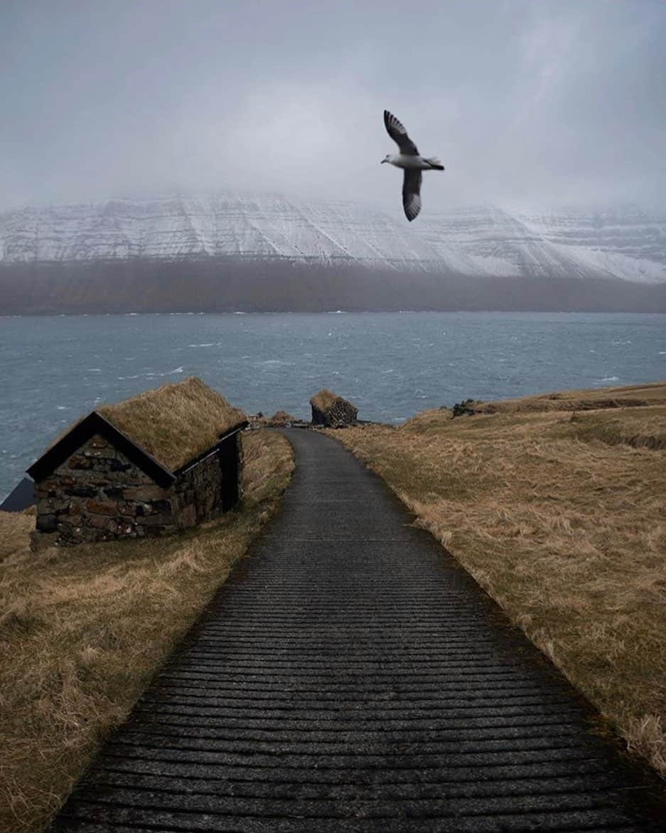 FOLKさんのインスタグラム写真 - (FOLKInstagram)「Faroe Islands. Photo by @franmart_」8月16日 12時01分 - folkmagazine