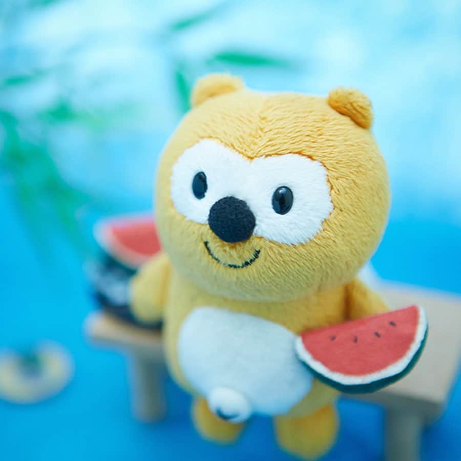 ポンタのインスタグラム：「. . 一緒に涼もう🍉😊💓 . . . .  #ponta #ポンタ #残暑お見舞い申し上げます #すいか #休憩 #夏 #うちわ #ひんやり #蚊取り線香 #happy #ぬい撮り #ちょっこりさん #ポンスタグラム #撮りポン」