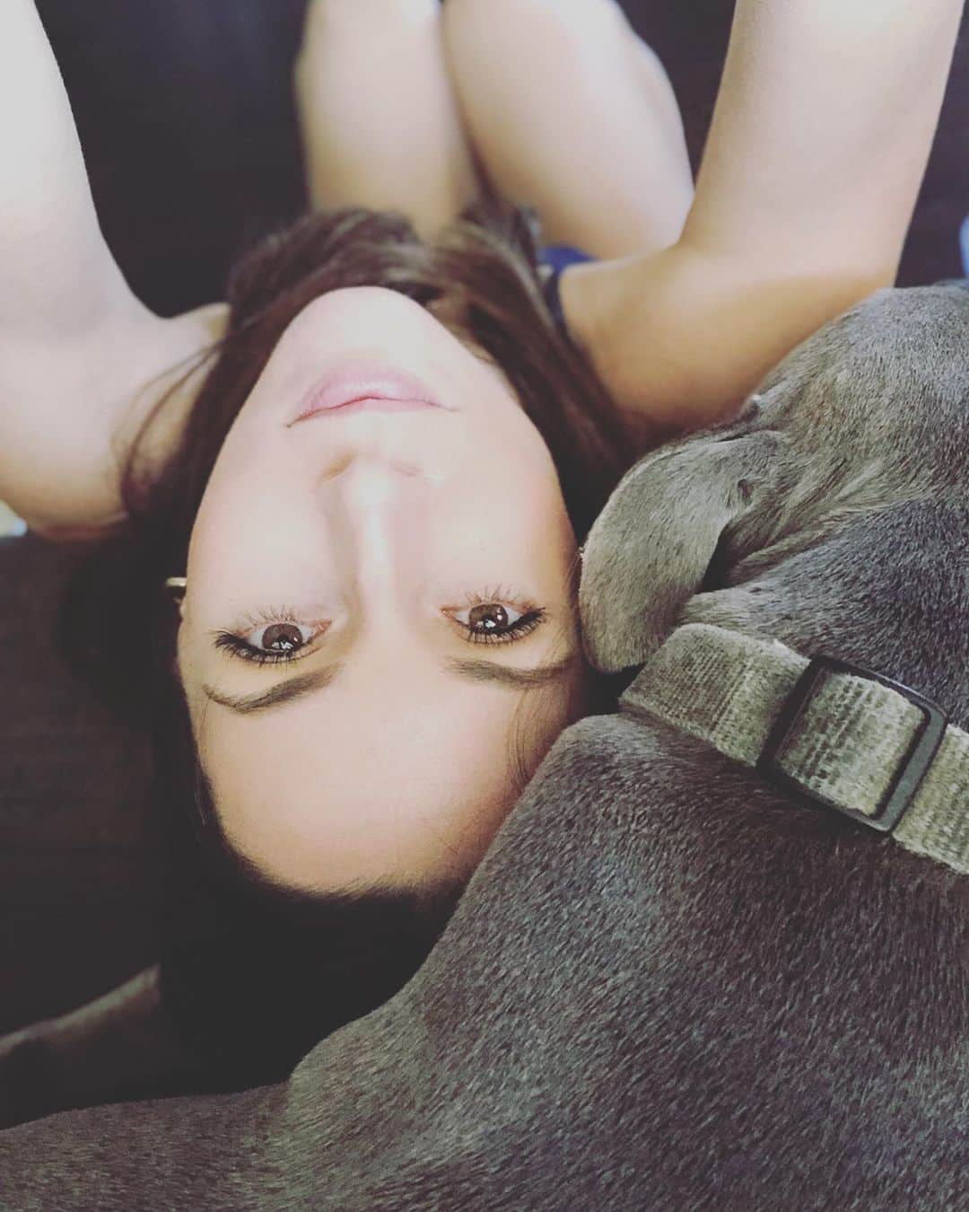 アロナ・タルさんのインスタグラム写真 - (アロナ・タルInstagram)「Sometimes upside down feels right side up. #dog #snuggle」8月16日 12時11分 - alonatal