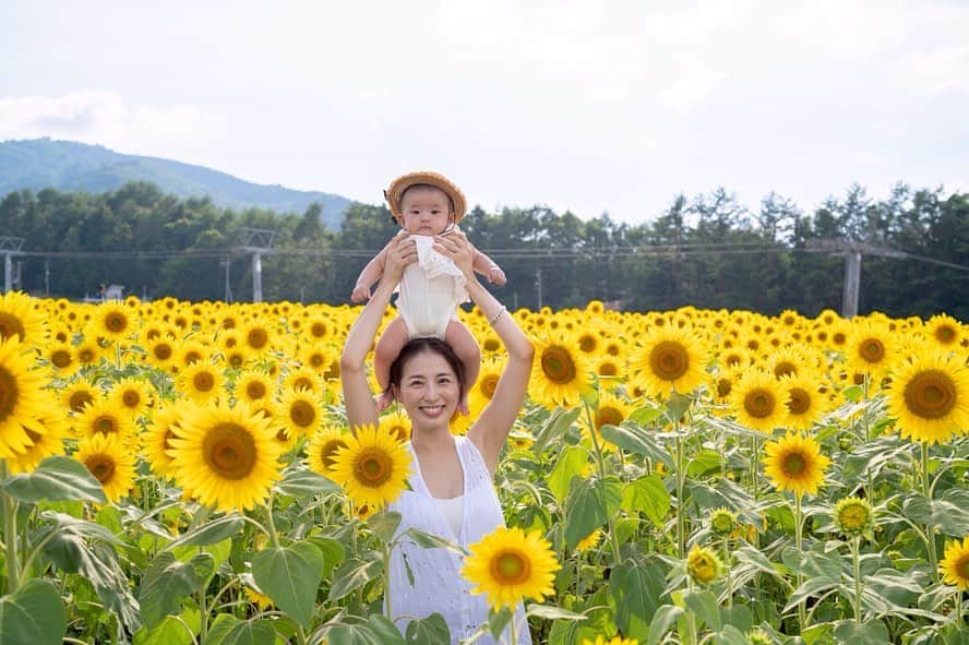 加藤千暁さんのインスタグラム写真 - (加藤千暁Instagram)「今年もひまわり畑へ行けた🌻 #汗だくだくで#ひまわり#見に行ってきました#白ワンピース#麦わら帽子#やりたかった事の1つ#暑すぎて#さくらさんの笑顔待ちは#諦めました #ひまわり#ひまわり畑#sunflowers#summer」8月16日 12時11分 - chiaki525