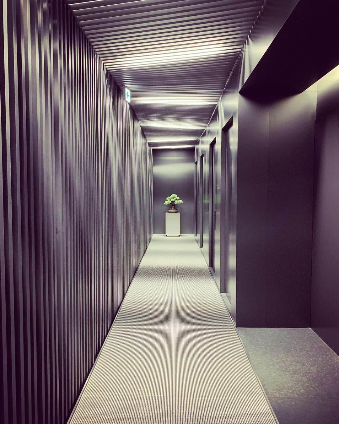 祐真朋樹のグルメインスタ