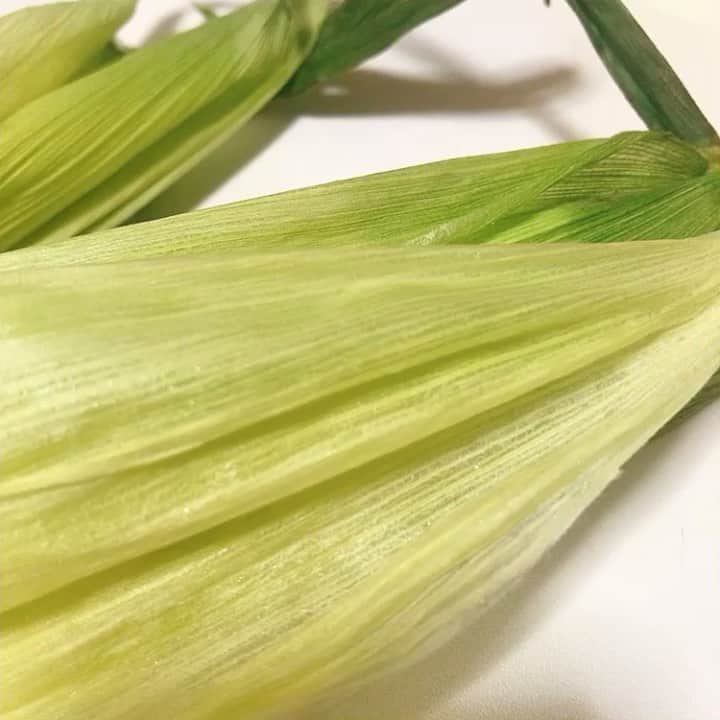 のインスタグラム：「🌽🌽﻿ 今年も北から届いた！﻿ 黄色い食物繊維◡̈﻿ ﻿ レンジでも美味しいと聞いてやってみたけど、﻿ 私は塩茹で派でありました。﻿ 大きな鍋が必要…！﻿ ﻿ #とうもろこし﻿ #とうきび﻿ #さんきゅー父さん」