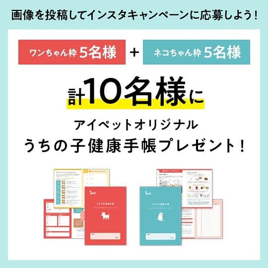 アイペット ペットスナップキャンペーンさんのインスタグラム写真 - (アイペット ペットスナップキャンペーンInstagram)「【うちの子カレンダー2020キャンペーン開催中！】⁠⠀ ⁠⠀ 「毎日かわいいぶどちゃんと過ごせて、はるくんもままもすごく幸せ感じてるよ！これからもよろしくね❤」⁠⠀ ⁠⠀ 毎日たくさんのかわいいお写真・素敵なメッセージのご投稿ありがとうございます！⁠⠀ ⁠⠀ うちの子カレンダー2020に投稿すると、かわいいフレームに入ったオリジナル待ち受け画面がもらえます❤️⁠⠀ こちらは12か月ごとのカレンダー付きなので、12枚の投稿で1年分のカレンダーが作れちゃう♪⁠⠀ ⁠⠀ 「うちの子カレンダー2020」キャンペーンはアイペット公式InstagramのTOPよりご覧ください👀！⁠⠀ ⁠⠀ ＼さらに！Instagram投稿キャンペーンも同時開催中／⁠⠀ ⁠⠀ 参加方法はとってもカンタン♪⁠⠀ ①うちの子カレンダー2020に投稿してオリジナル待ち受け画面をダウンロード！⁠⠀ ②「#ipetうちの子カレンダー2020」を付けてInstagramに投稿！⁠⠀ ⁠⠀ 投稿してくれた方の中から10名様にうちの子健康手帳をプレゼント✨⁠⠀ ⁠⠀ こちらは8/31まで★★⁠⠀ ⁠⠀ #ipetうちの子カレンダー2020 #アイペット #ipet #キャンペーン実施中 #キャンペーン #フォトコン #フォトコンテスト開催中 #犬 #愛犬 #いぬすたぐらむ #わんこ⁠⠀ いぬ #犬のいる暮らし #ワンコ #いぬら部 #いぬのきもち #いぬバカ部 #犬好きな人と繋がりたい #イヌ #いぬばか部 #いぬ部 #犬との暮らし #イヌスタグラム #わんこのいる生活 #犬好きさんと繋がりたい #愛犬家 #癒し犬 #トイプードル #トイプー #プードル⁠⠀」8月16日 12時38分 - ipet__ins