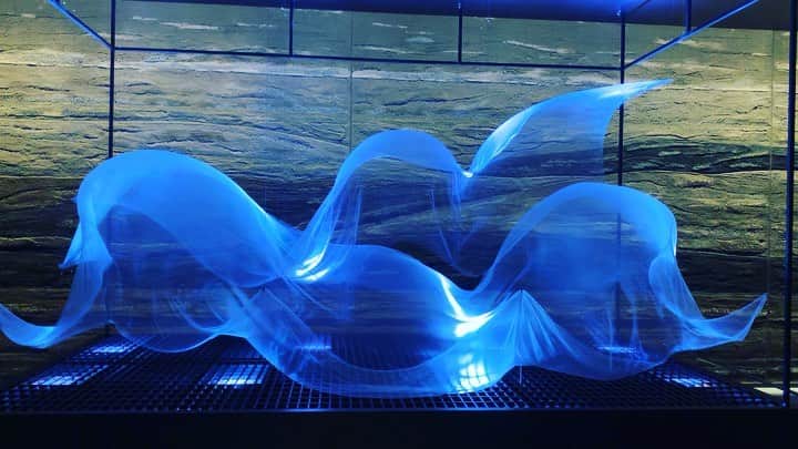 牛窪万里子のグルメインスタ