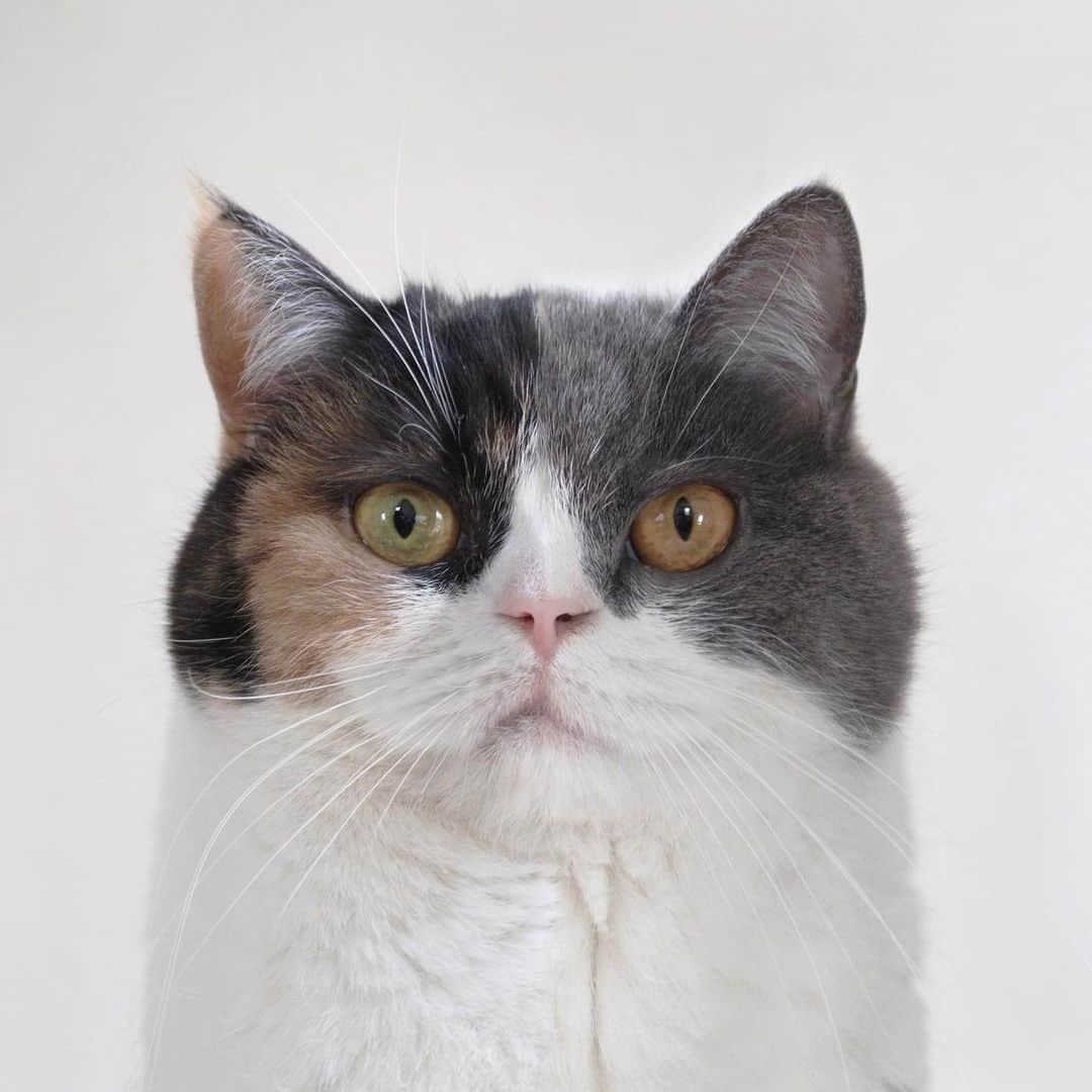 guremikeのインスタグラム：「1+1=1  #guremike #portrait」