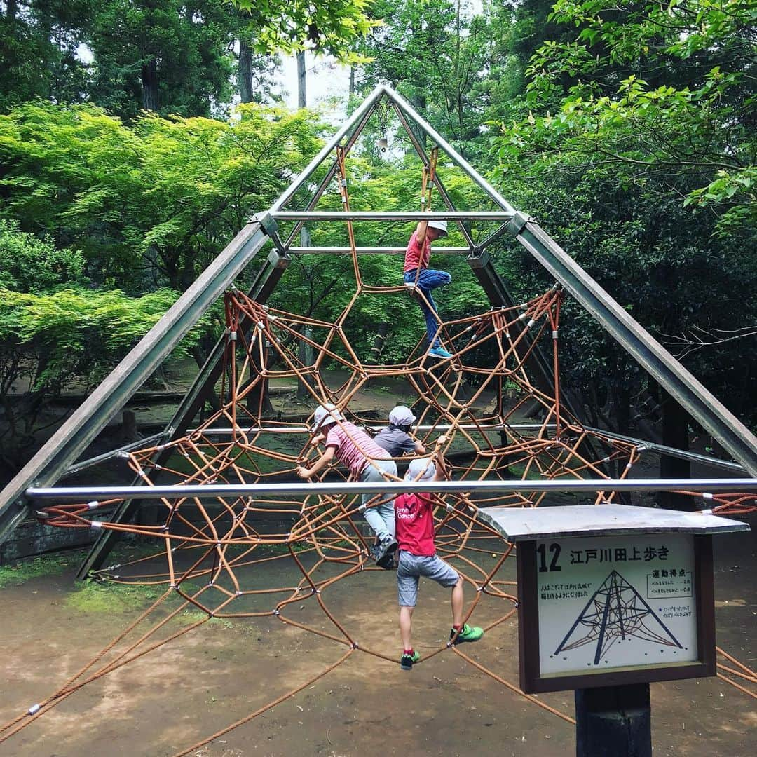 散歩の達人さんのインスタグラム写真 - (散歩の達人Instagram)「アスレチックで遊ぼう！ Obstacle Course in Ichikawa(市川). #hello #8月の遠足 #ありのみコース #アスレチック #市川 #park #course #夏休み #ichikawa #散歩の達人 #さんたつ」8月16日 15時44分 - san_tatsu