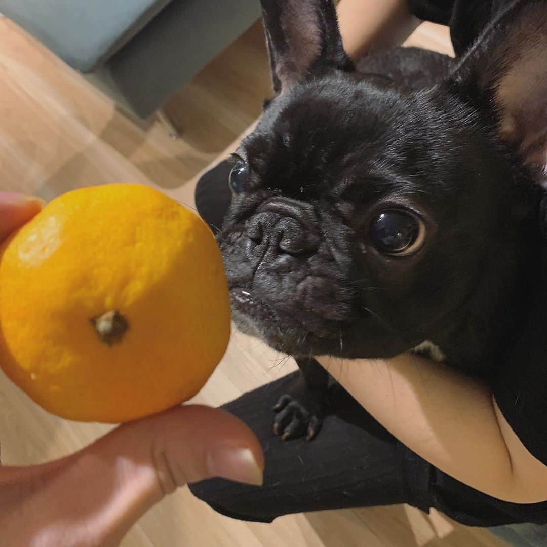 やっぴのインスタグラム：「🍊」